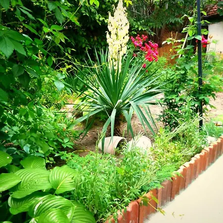 Miro Sea Garden * Burgas